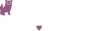 製品ラインナップ